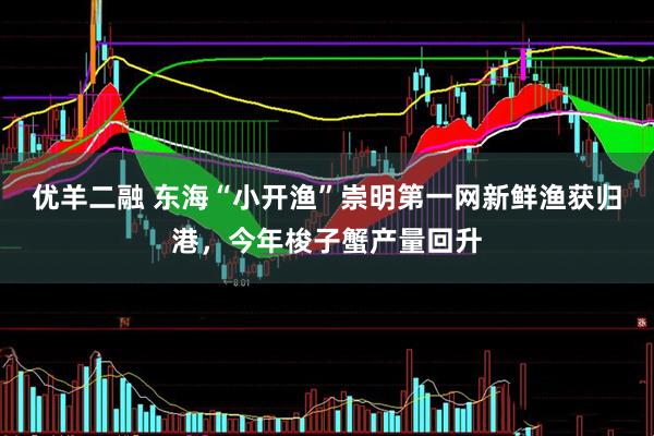 优羊二融 东海“小开渔”崇明第一网新鲜渔获归港，今年梭子蟹产量回升