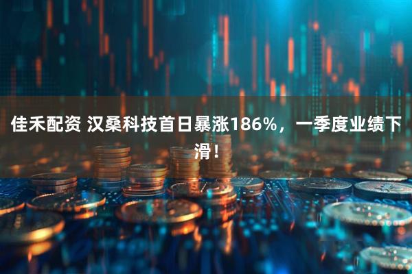 佳禾配资 汉桑科技首日暴涨186%，一季度业绩下滑！
